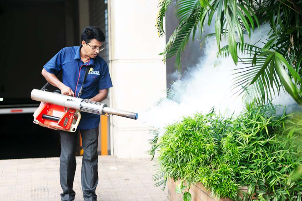 pest control service Dhaka